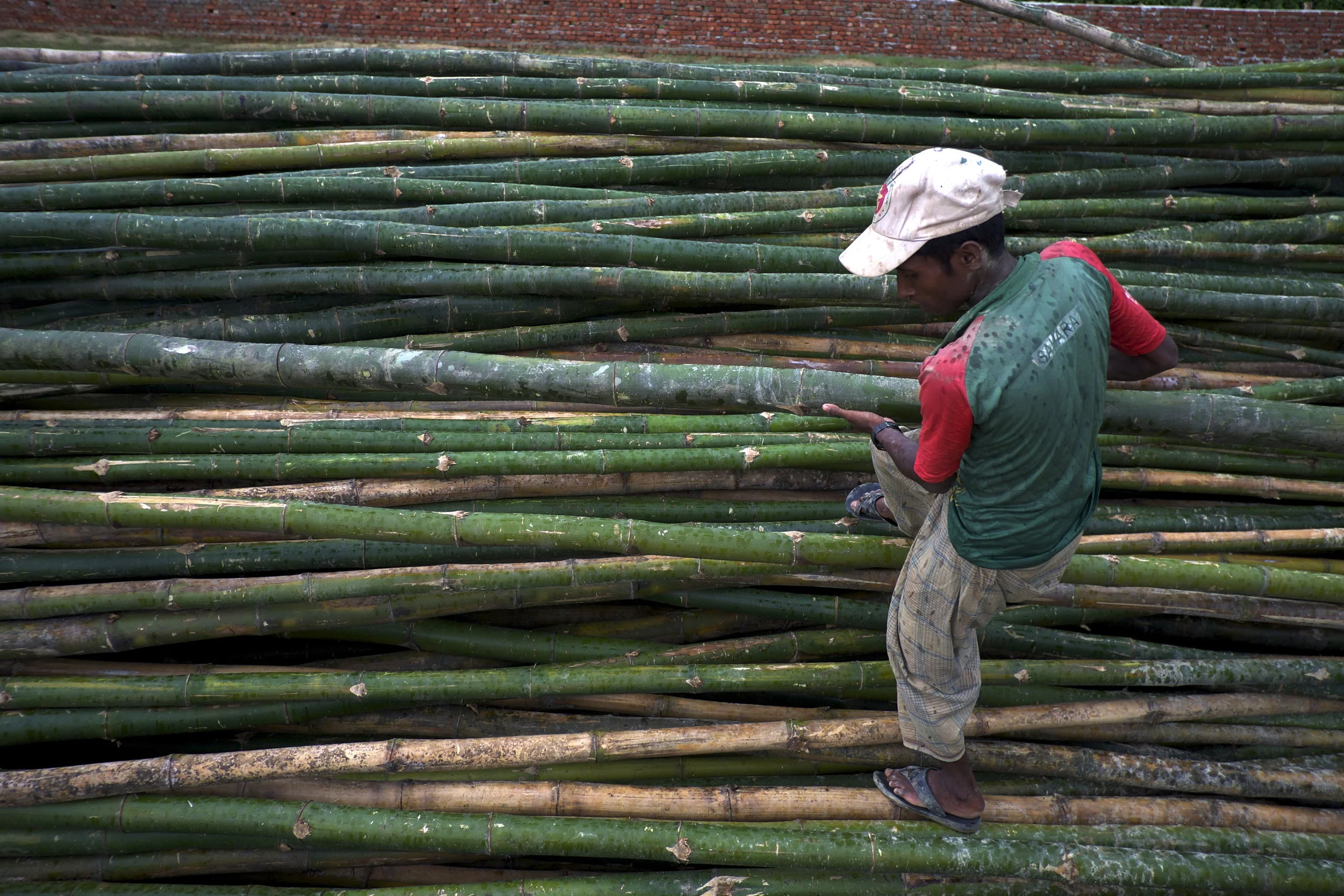 A Rohingya man climbs on a stack of bamboo poles to select one to rebuild his house. (Credit: Dene-Hern Chen)