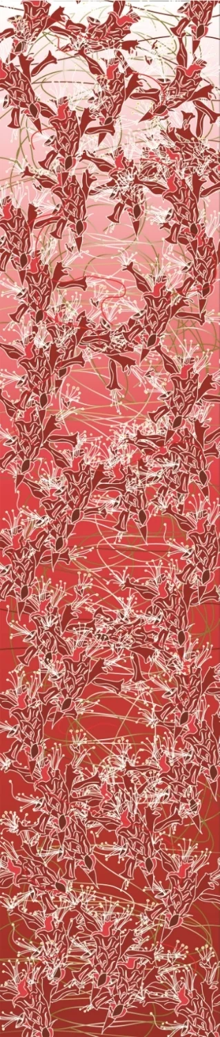 Ocotillo Flowers