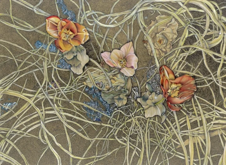 Satellite 8: Tulips/Candelilla