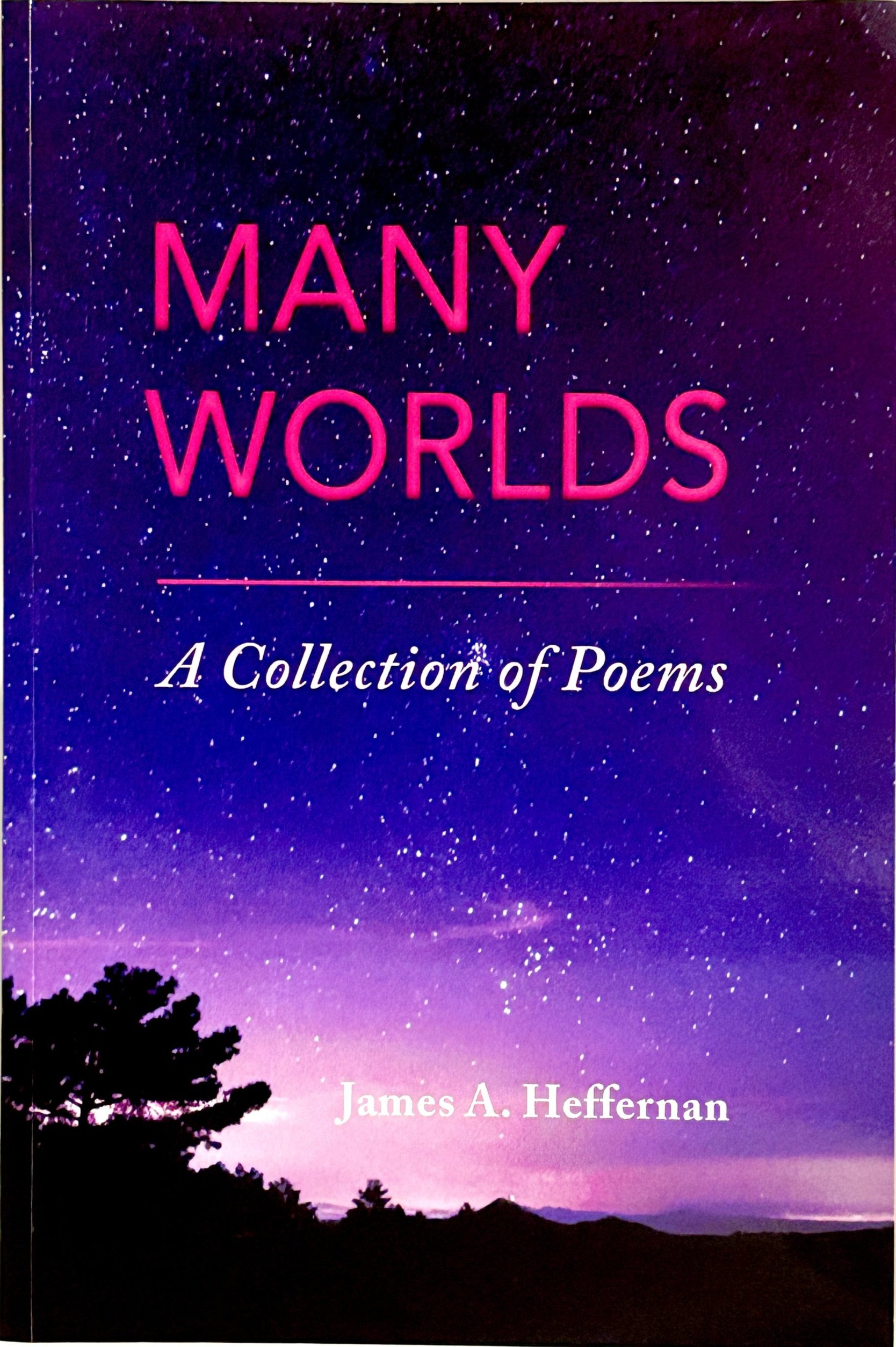 Many Worlds: A Collection of Poems (2019)