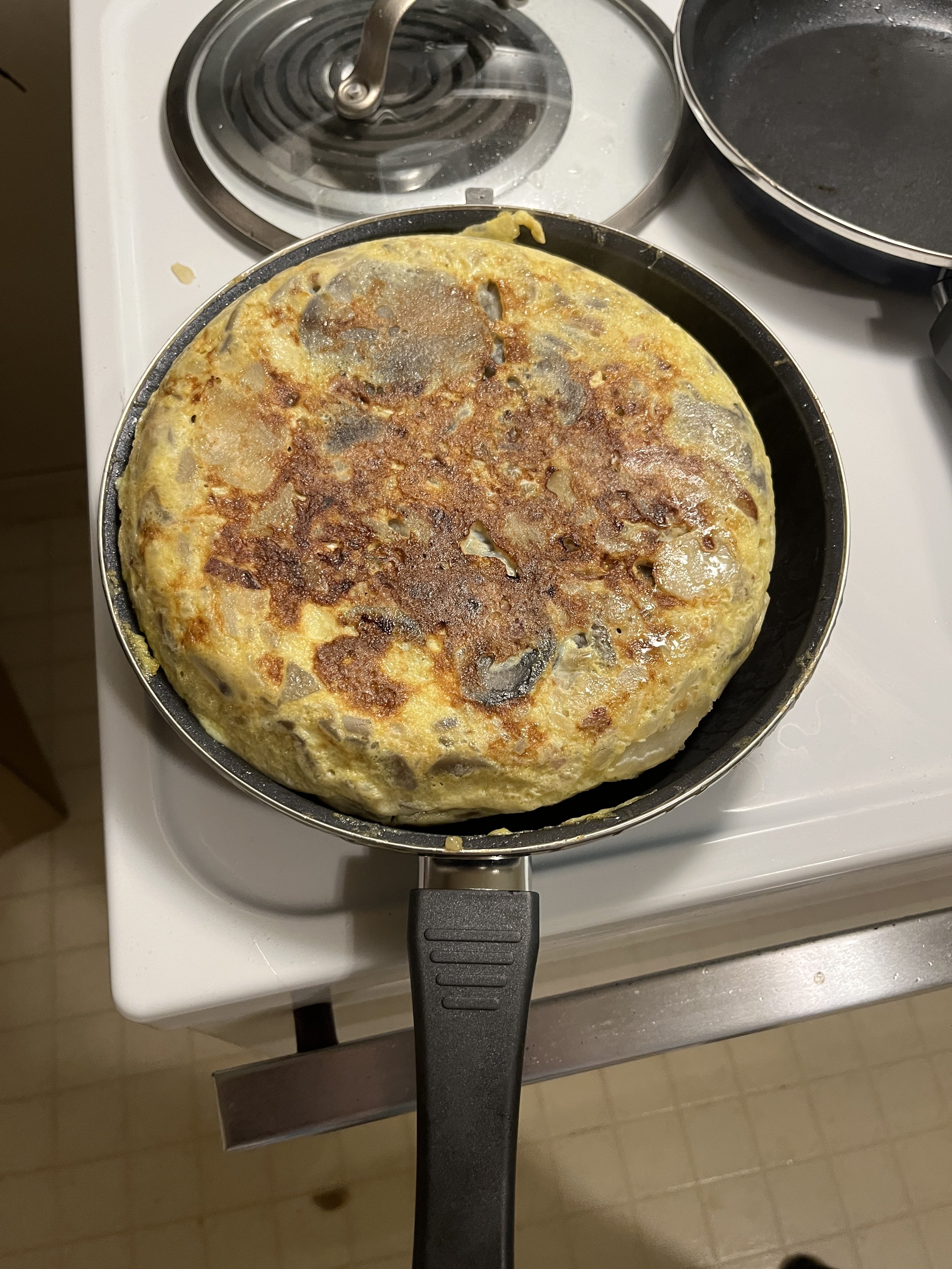 A Delicious Rite of Passage: Making My First Spanish Tortilla and Becoming  My Own Adult — Modern Memoirs, Inc. (est. 1994)