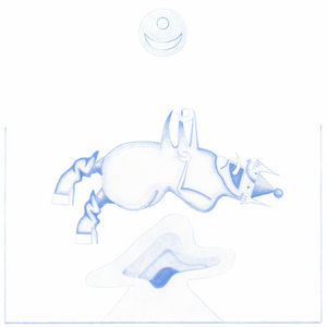 Devendra Banhart - Ape In Pink Marble 