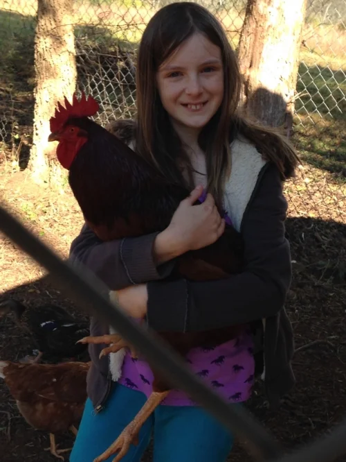 Tina is our chicken whisperer. All of the chickens run to HER WHEN she walks outside. Maybe they just want to sit with her on the swing? TINA IS ALSO LEARNING HOW TO BE A COUNTRY GIRL AND IS GENERALLY FOUND WITH THE HENS.