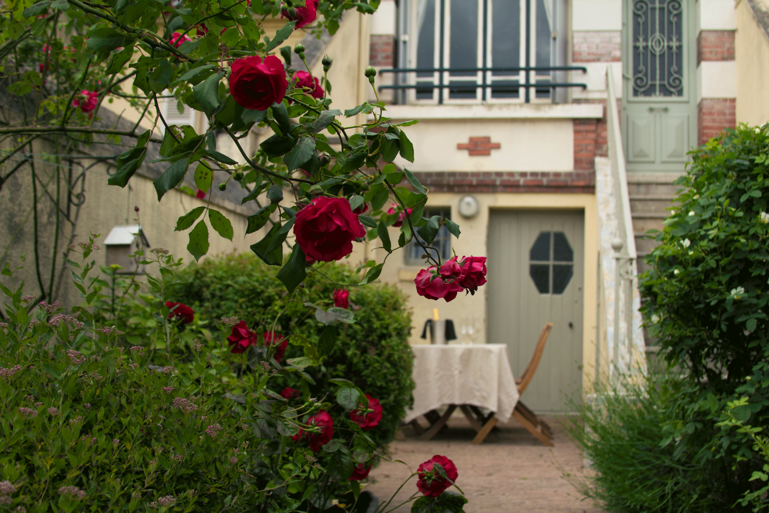 Garden.png