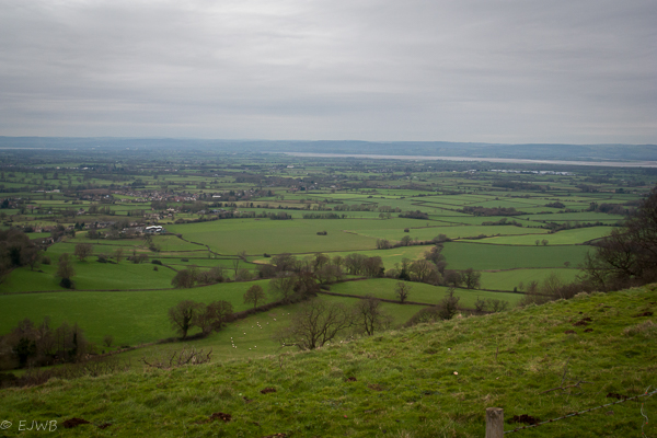 Viewpoint, Nympsfield Long Barrow