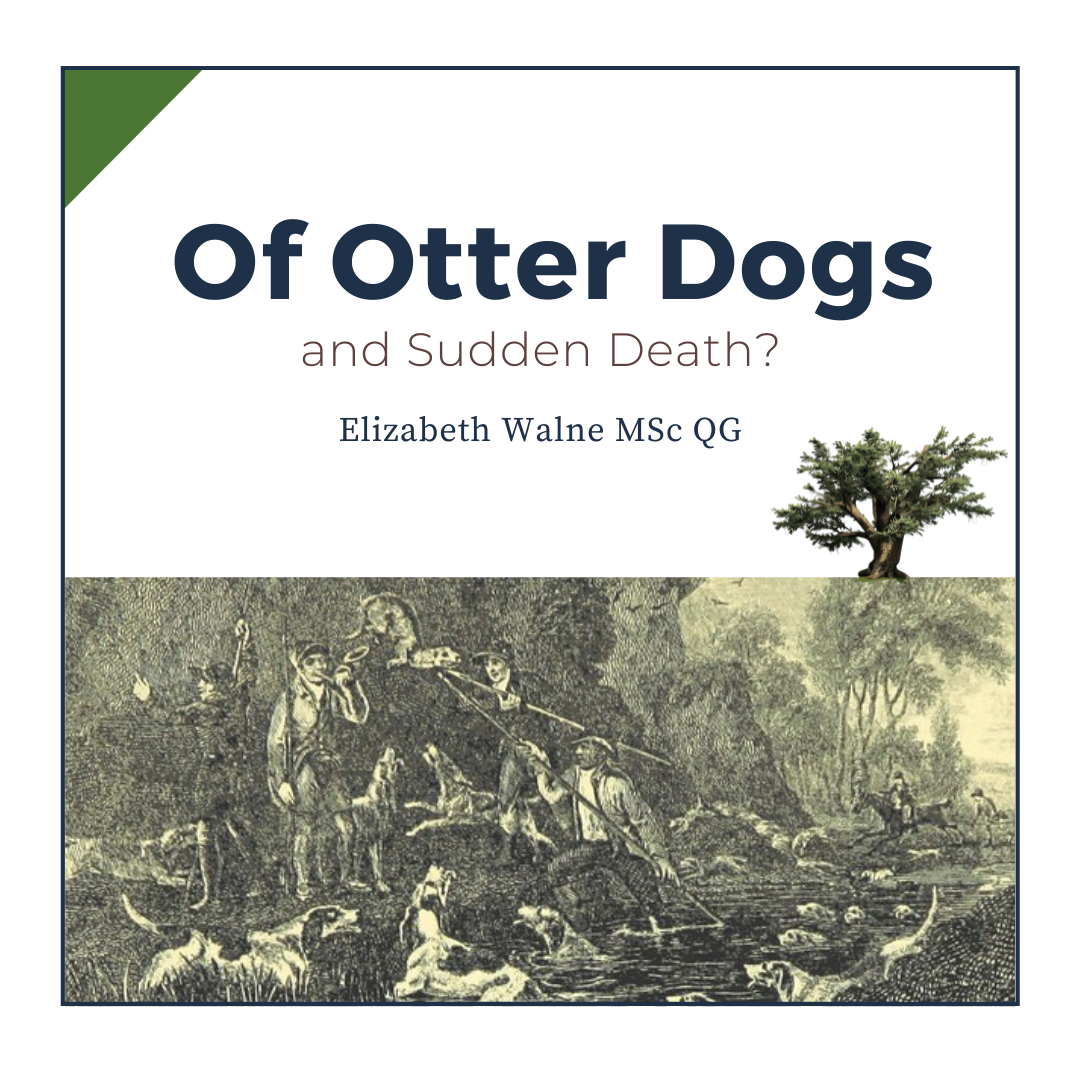 British Library copyright free image of an otter hunt, below 'Of Otter Dogs and Sudden Death'. Graphic supporting blog post.
