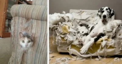 property destruction.jpg