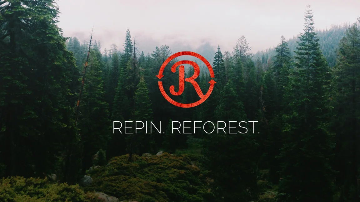 REPIN.jpg