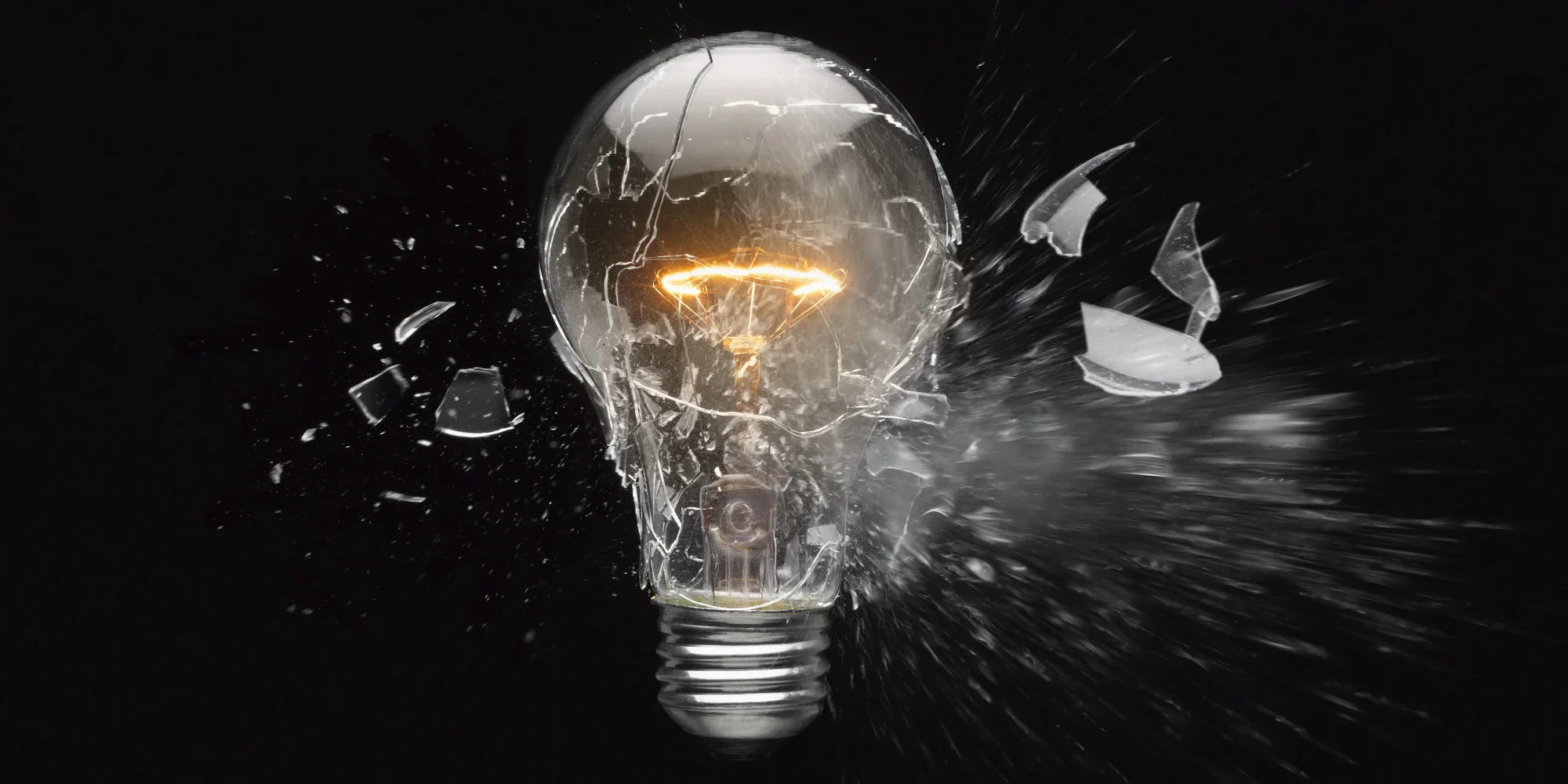 The Nature of Things with David Suzuki - Lights Out!