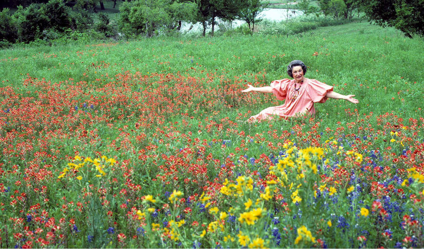 ladybirdjohnson-meadow_00126_SFWcrop.jpg