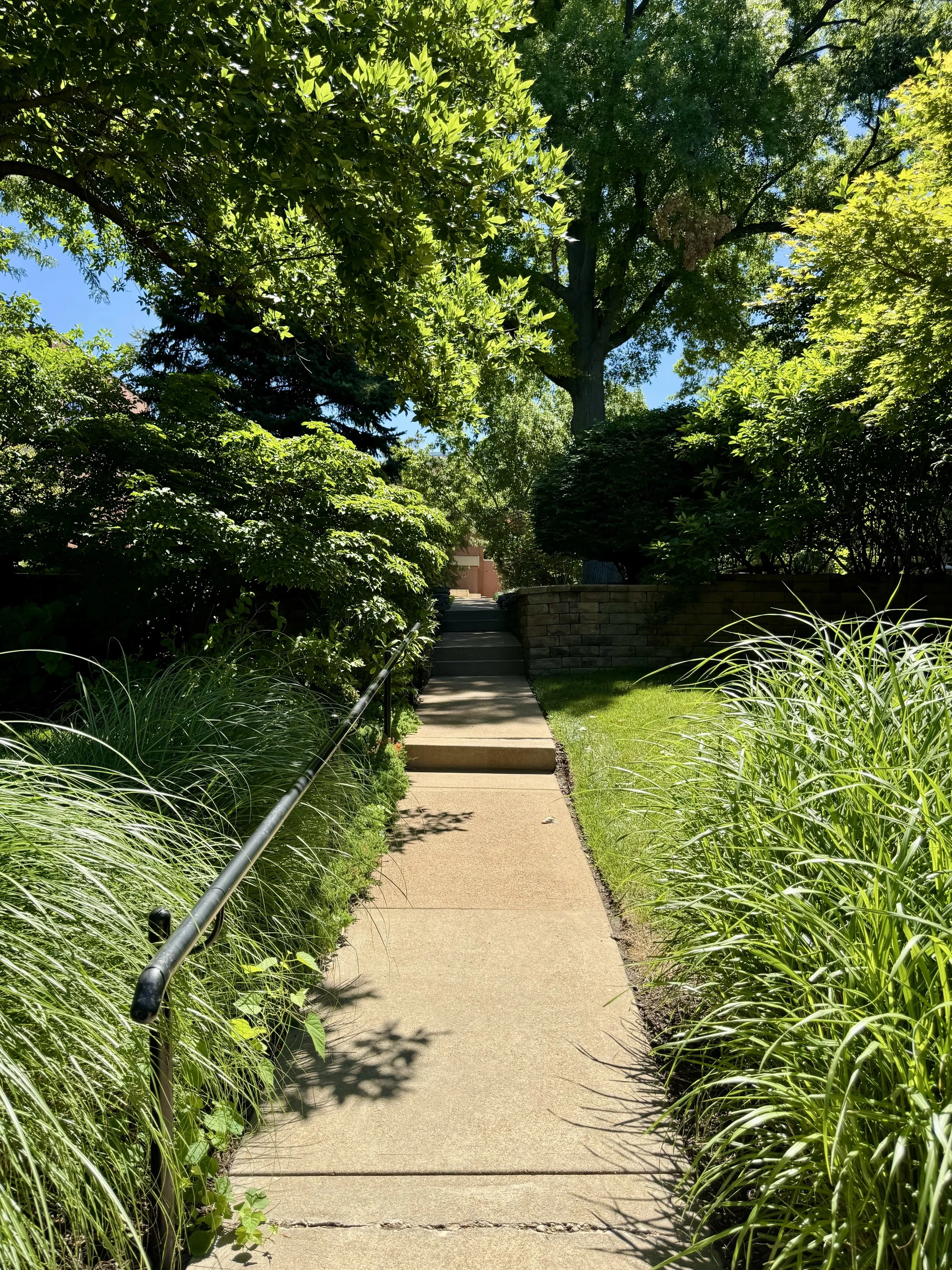 IMG_0064.jpeg