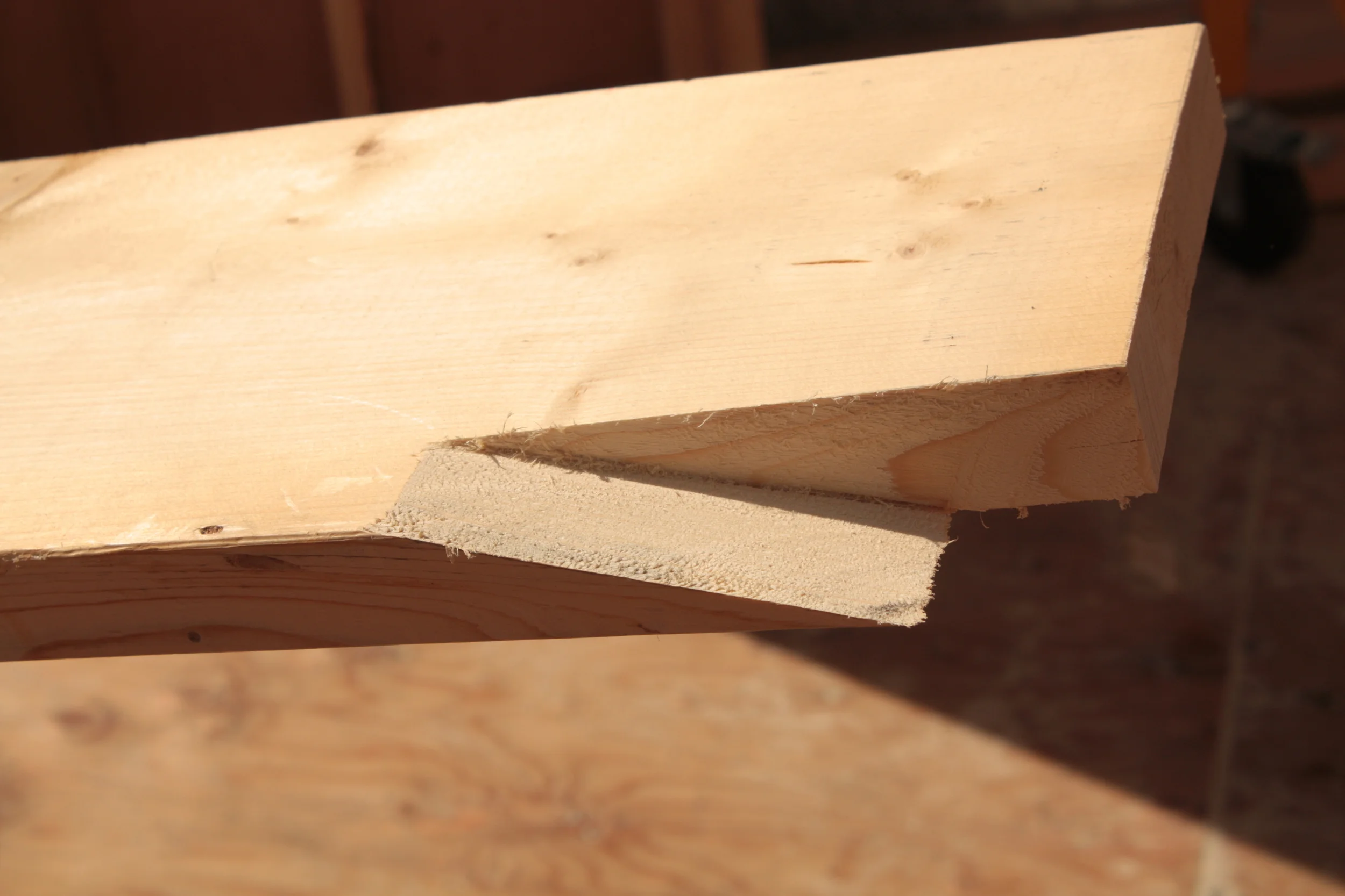 cuts and rafters 003.JPG