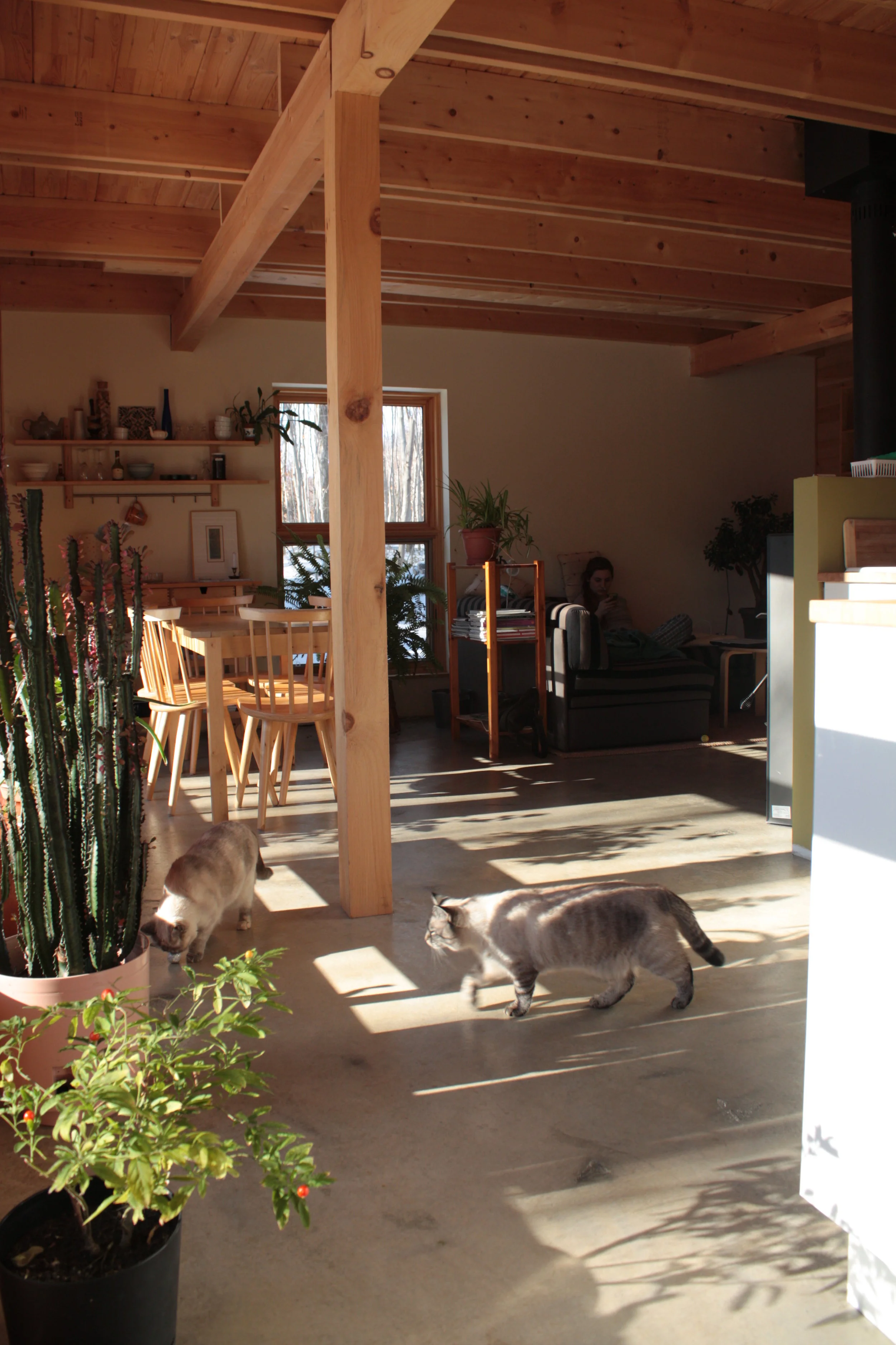 maison 087.JPG
