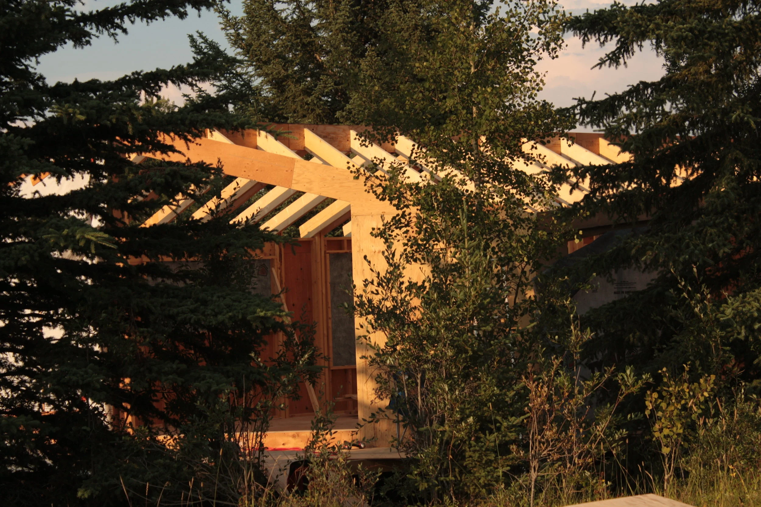 cuts and rafters 037.JPG