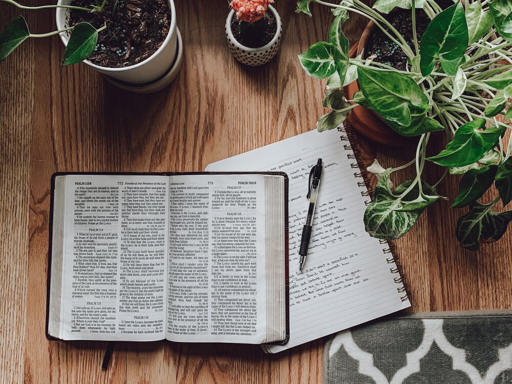 Putting Faith Into Action [James Bible Study–Week 1] — Sarah J. Hauser |  nourish your soul