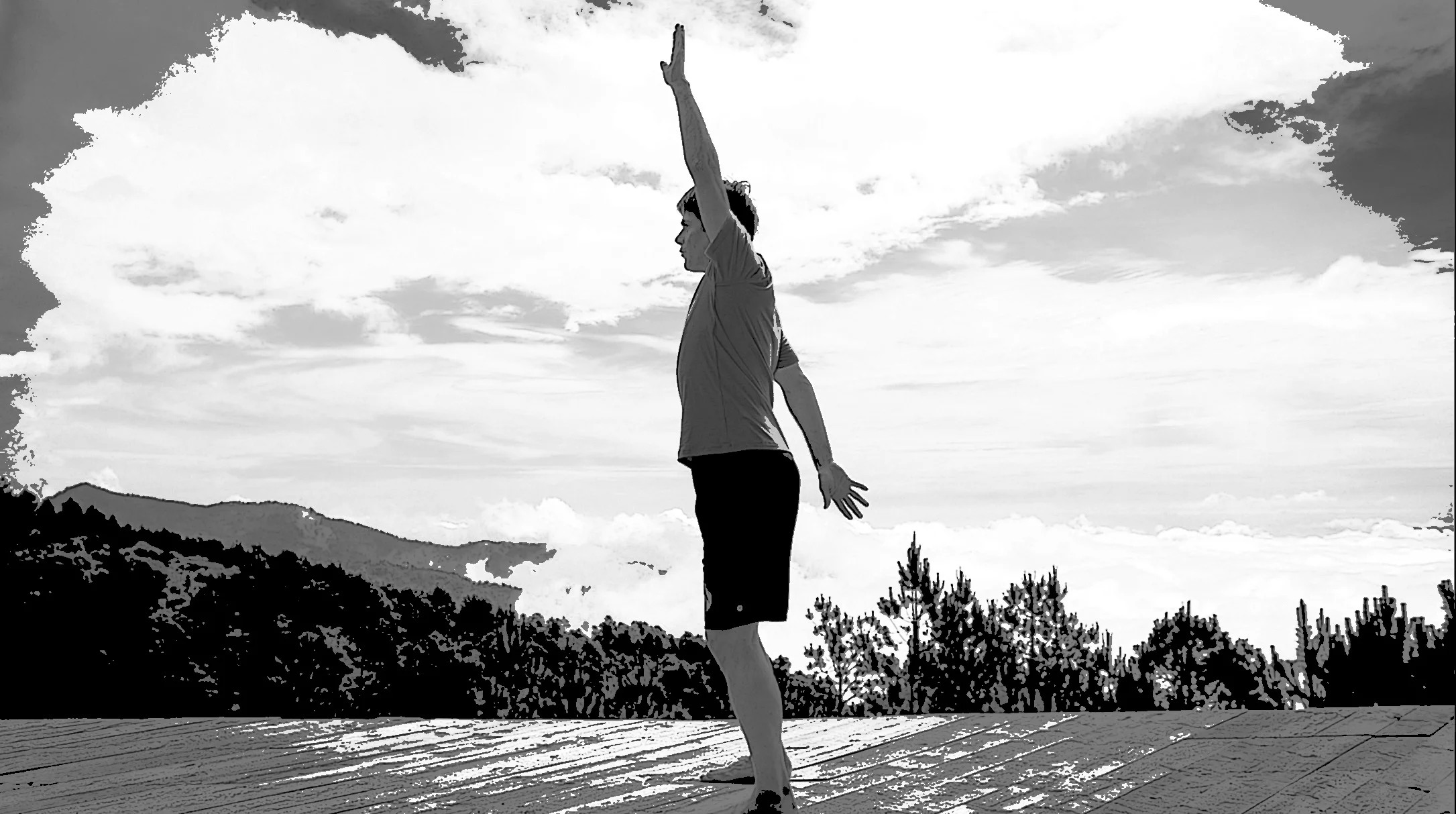 Whartons Flexibility Zone ® Two - Forward Elevation of Shoulder