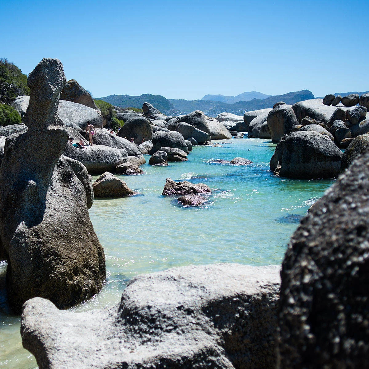 Start Your Own Adventure