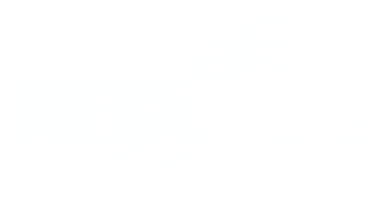 Keta Coastal Conservation