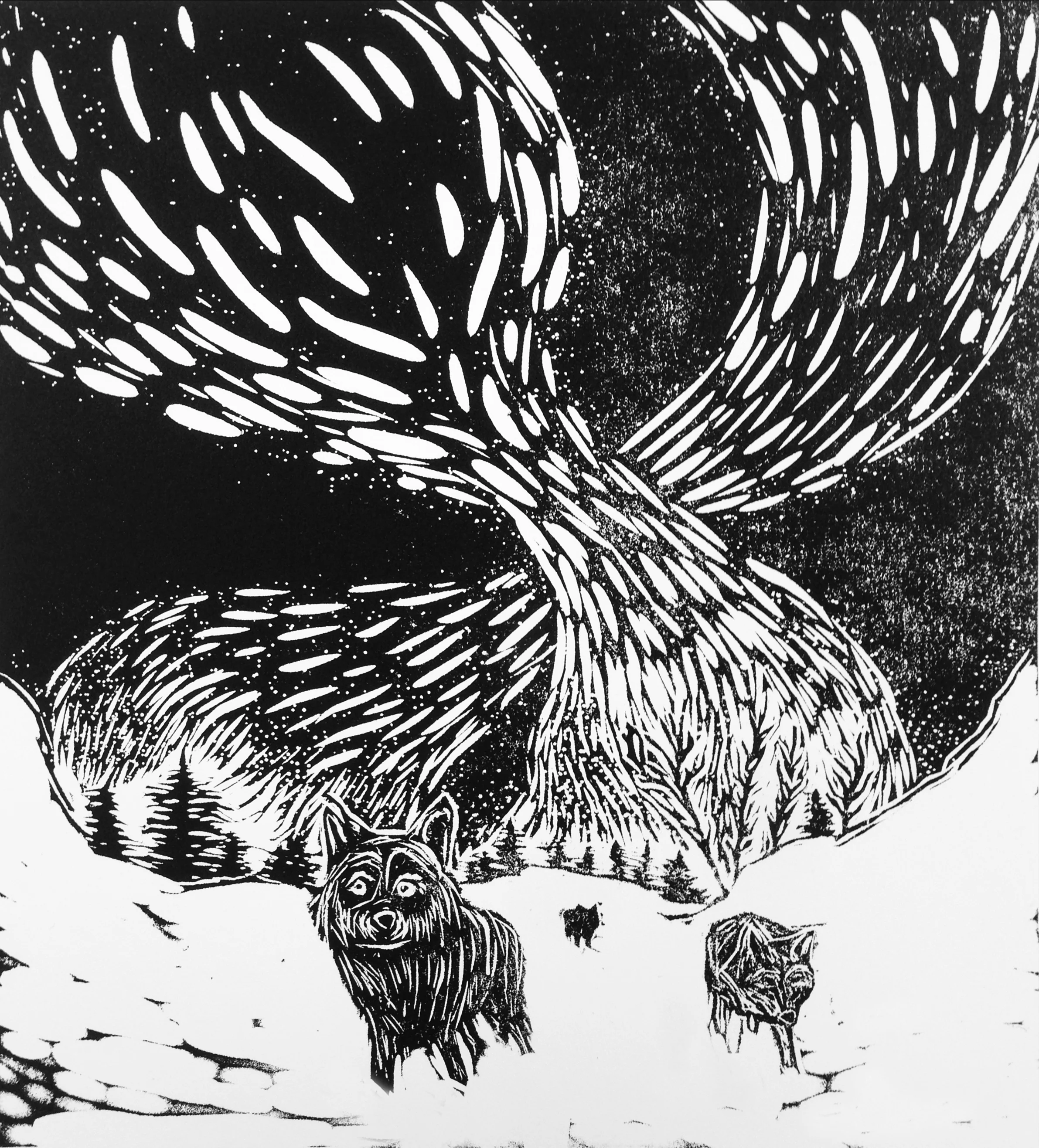 Where the wild resides