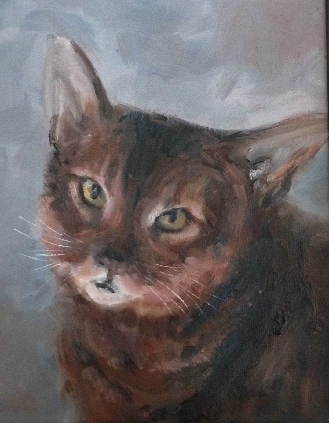 Sweet Kitty