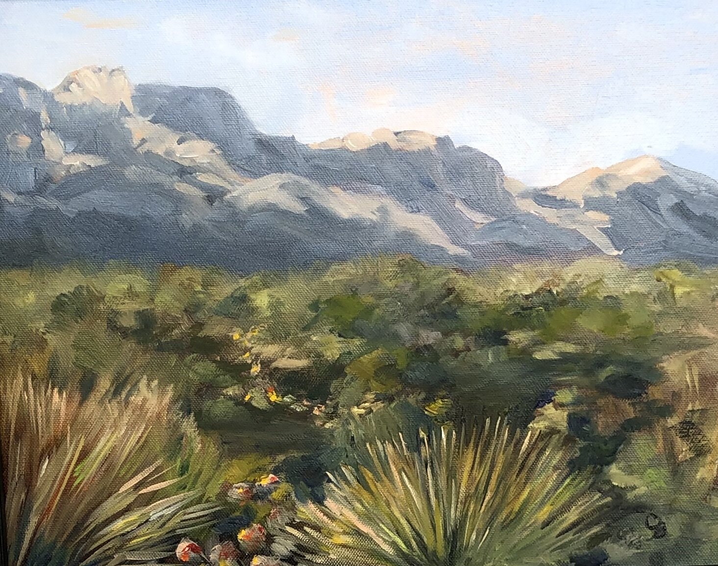 Arizona Desert