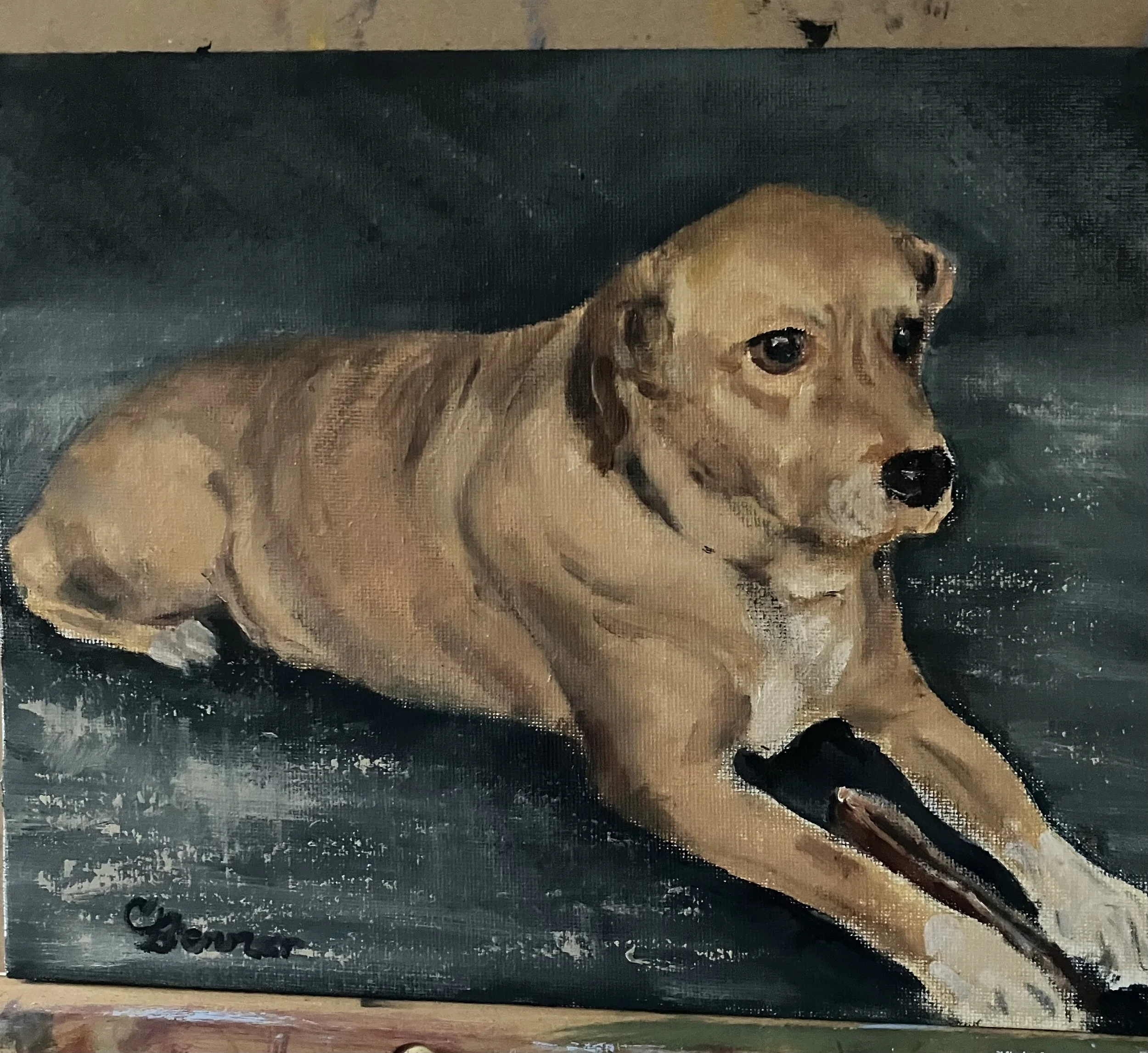 Sven