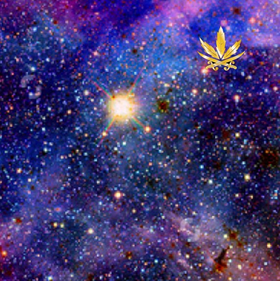 lords of cannabis high noon in the milky way.jpg
