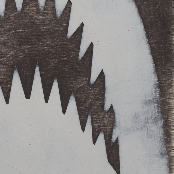 shark2.jpg
