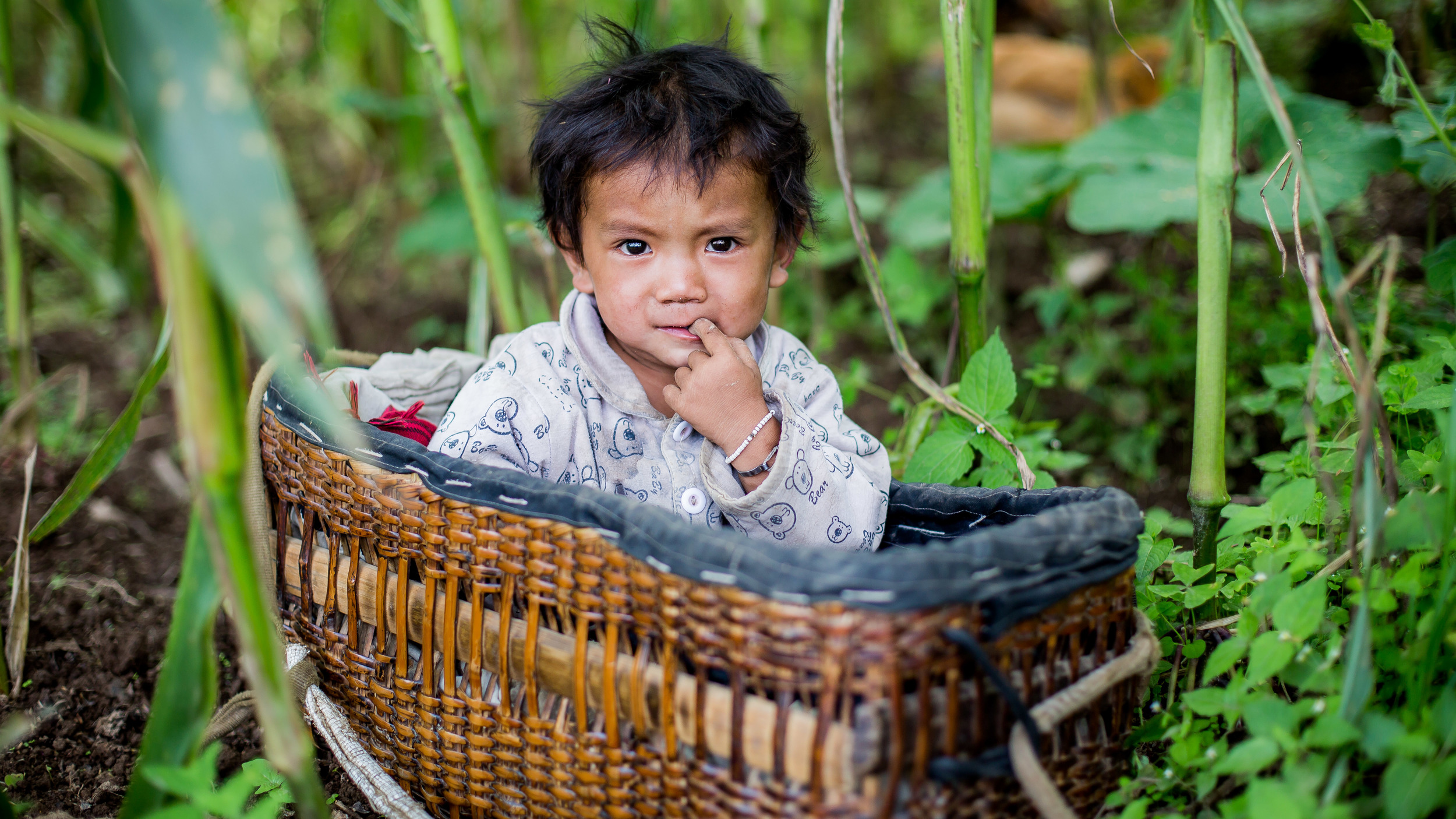 Baby in his basket beside his mother who is working in the field. 