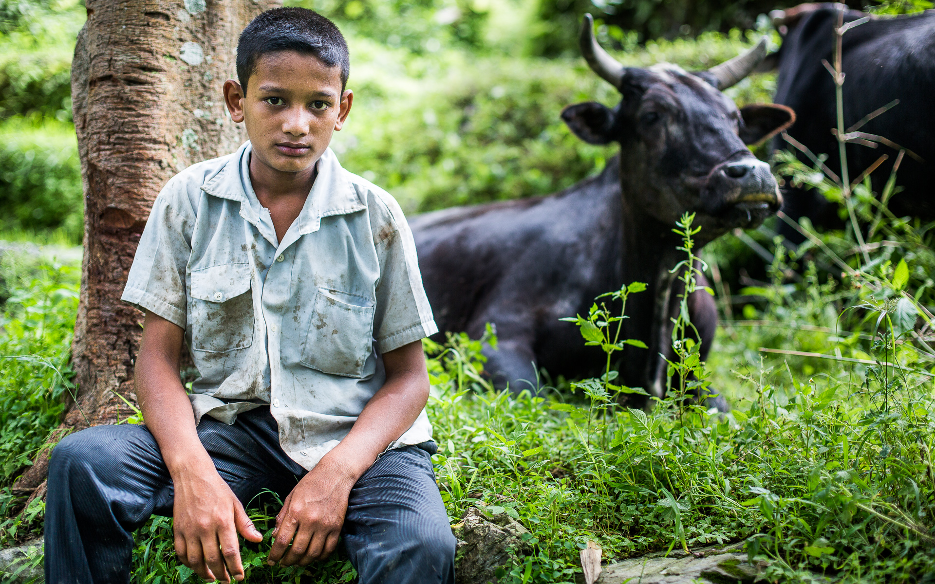 A boy proudly posing with his family’s ox. This animal is considered very valuable because it can do an incredible amount of work in the fields. At the end of its working life, it will provide the family with a lot of meat too.
