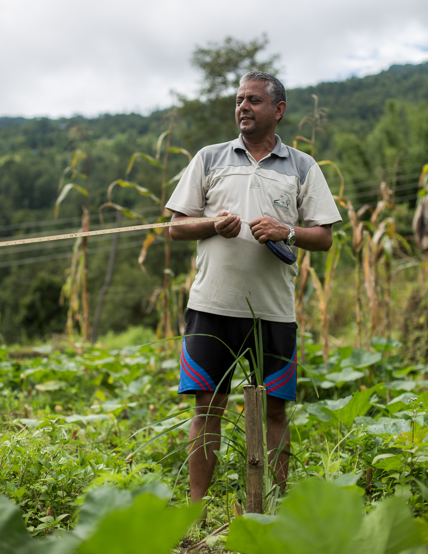 Rohit’s uncle measuring up for a new greenhouse.