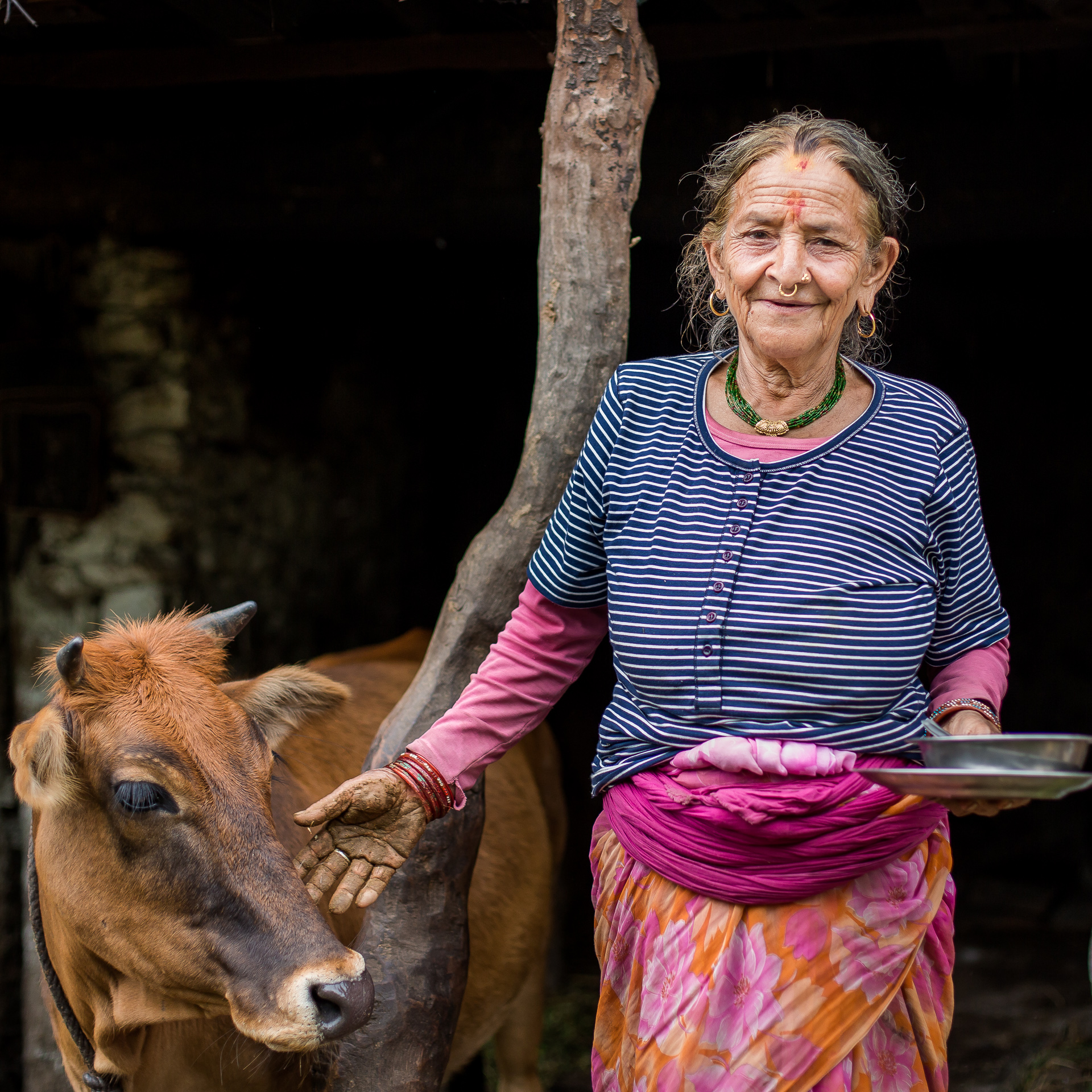 Grandmother of the family wanted to pose, wearing her new shirt, with her ox. 