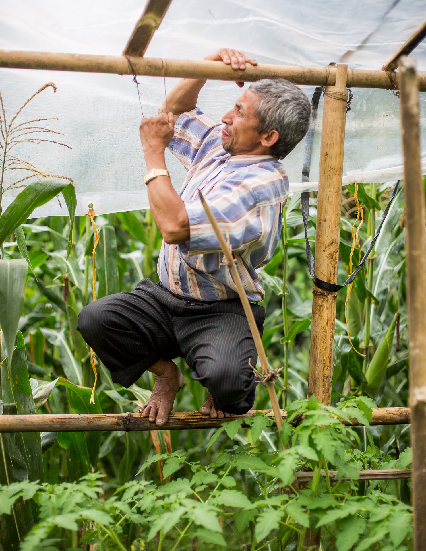 One of the teachers helping us to tie the bamboo together with wire. 