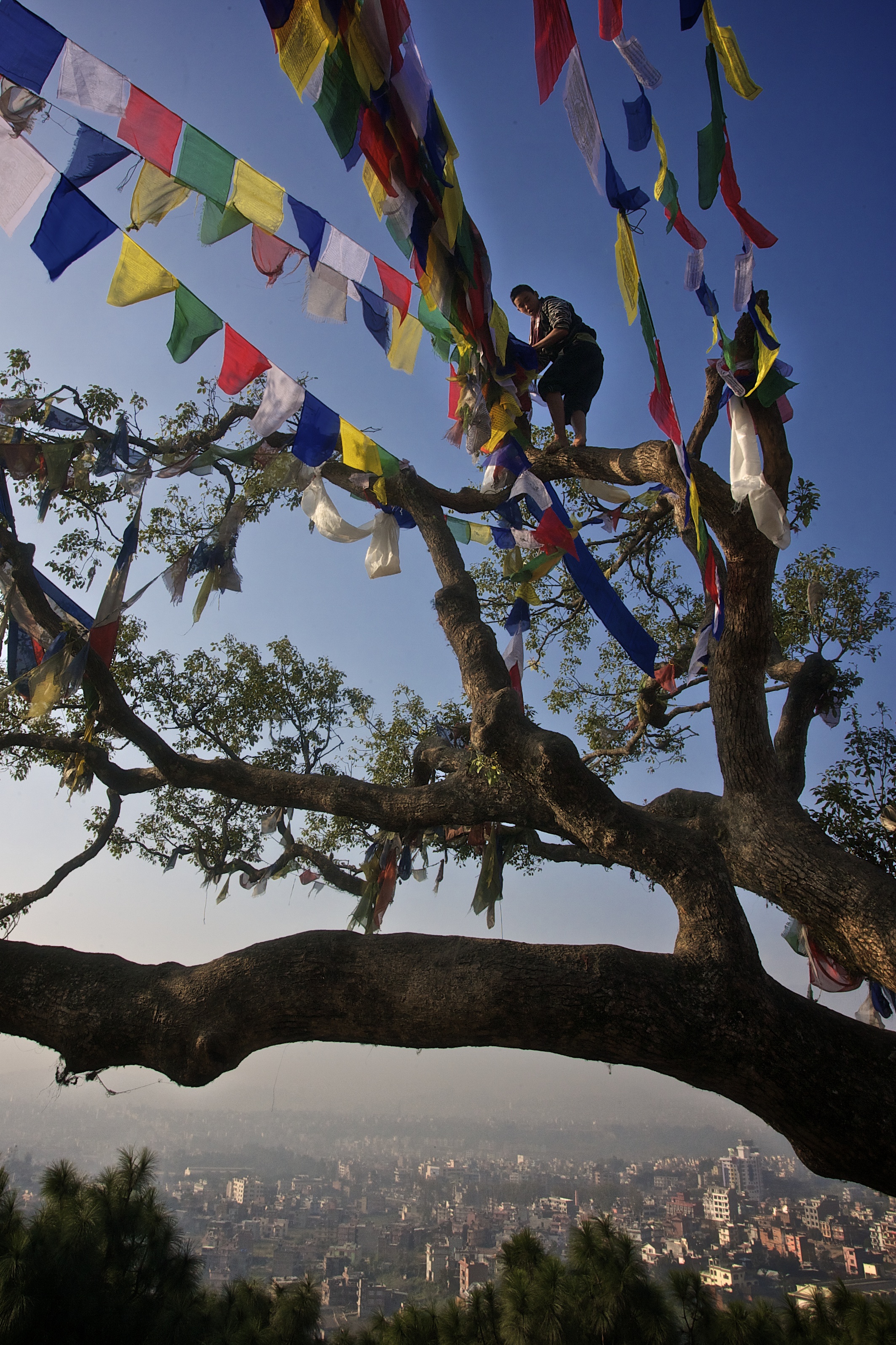 Boeddhistische gebedsvlaggen op het Swayambhunath tempel complex.