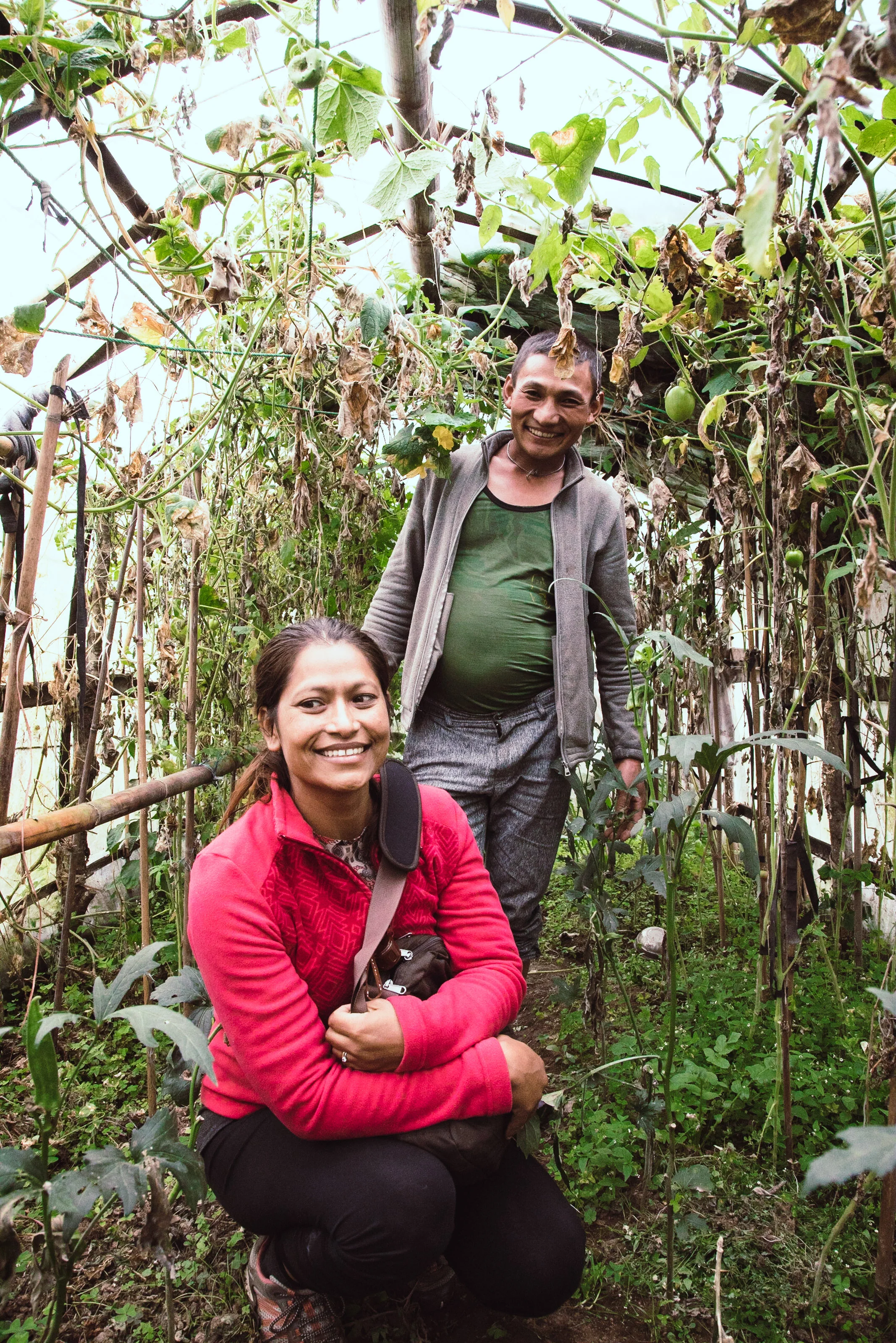 We are happy to se the great use of these greenhouse we supported 2 years earlier. 