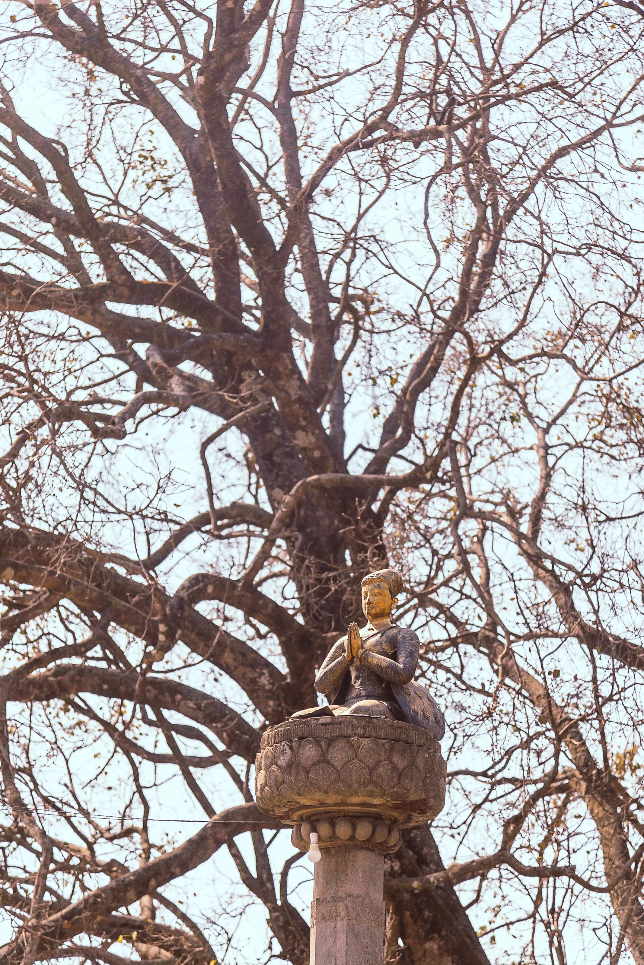 KX0A6205.jpg