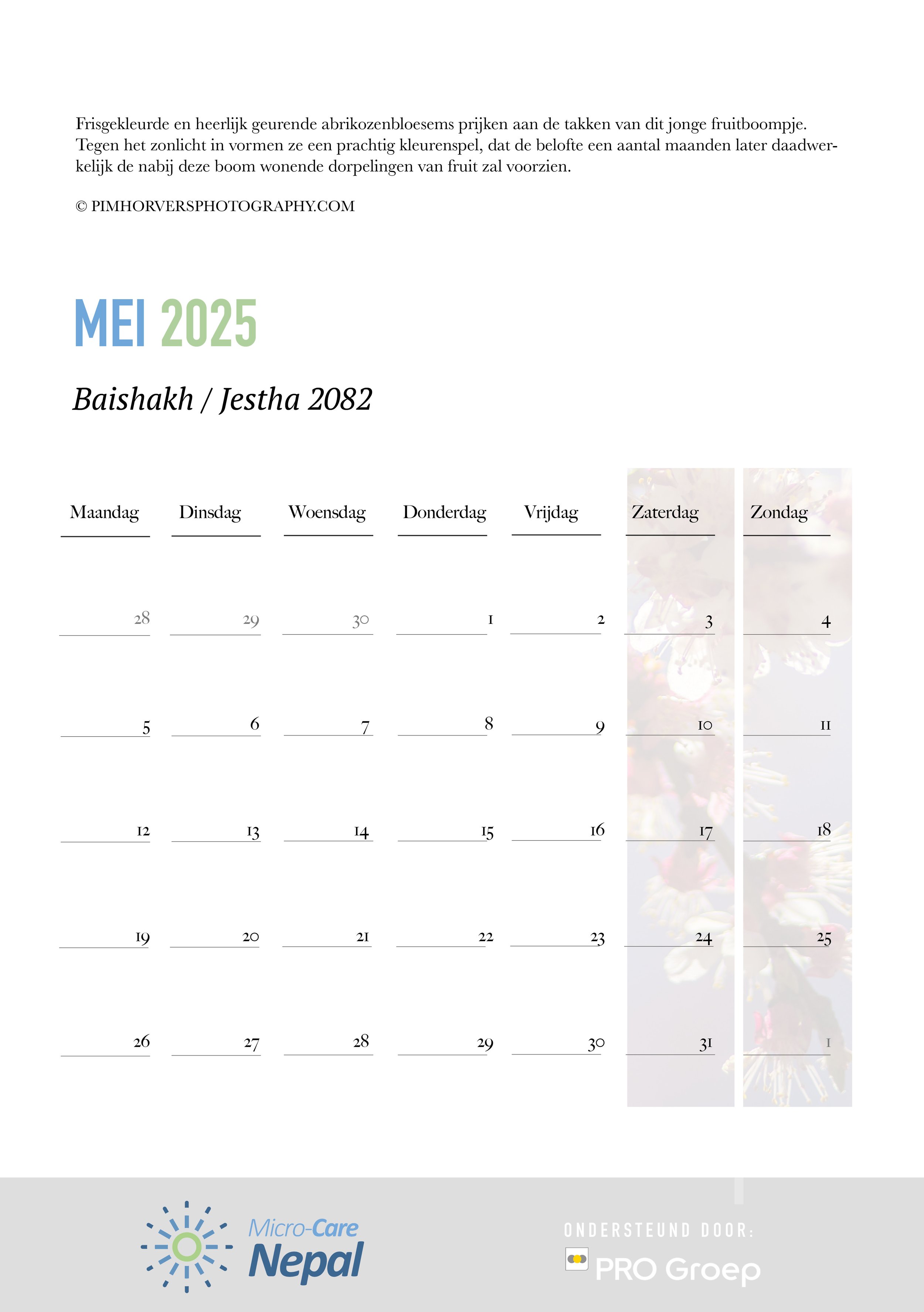 2025 Design for MCN Kalender and 2 Sided Print - corrected11.jpg