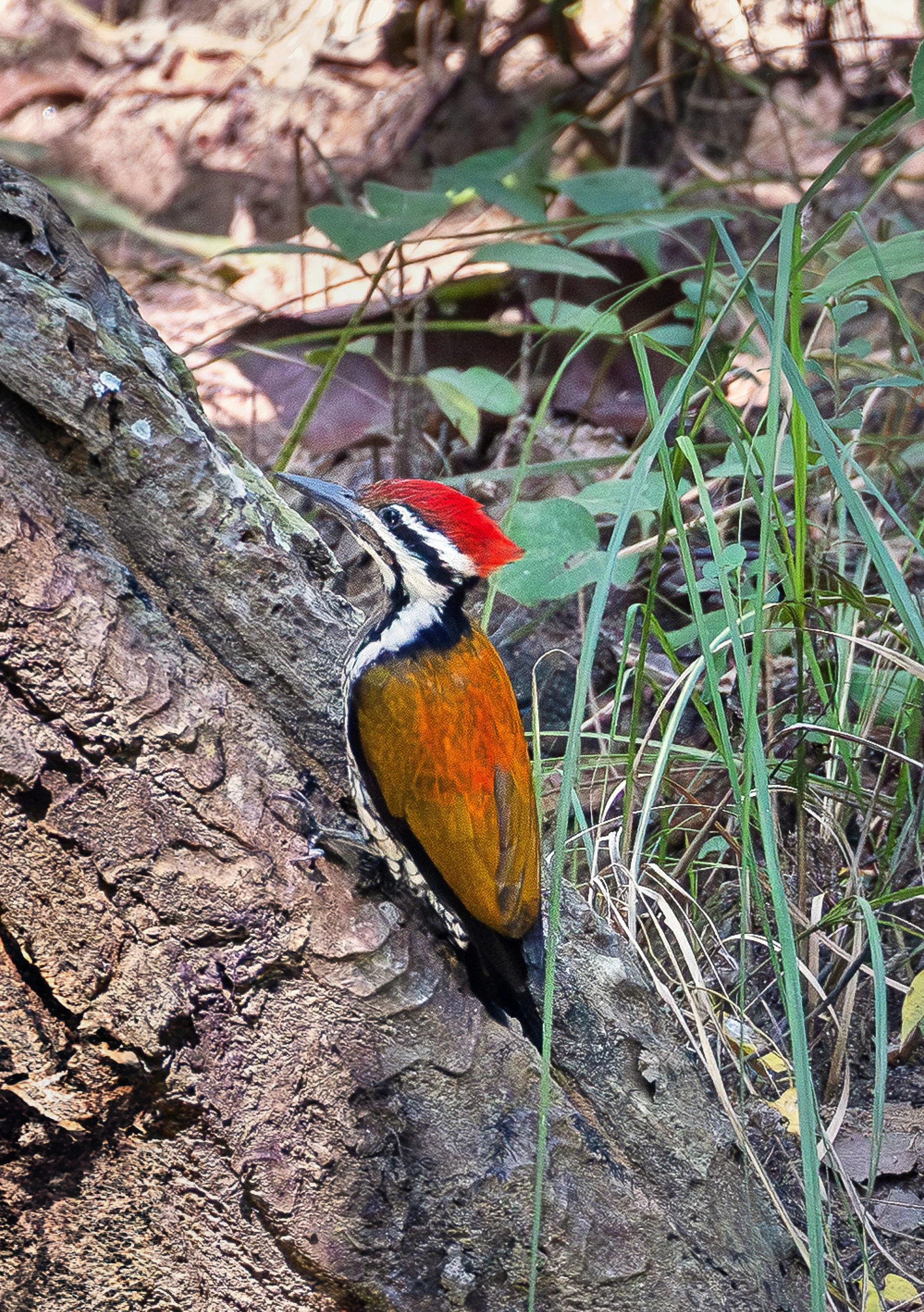 2026 Design for MCN Kalender and 2 Sided Print - corrected6.jpg