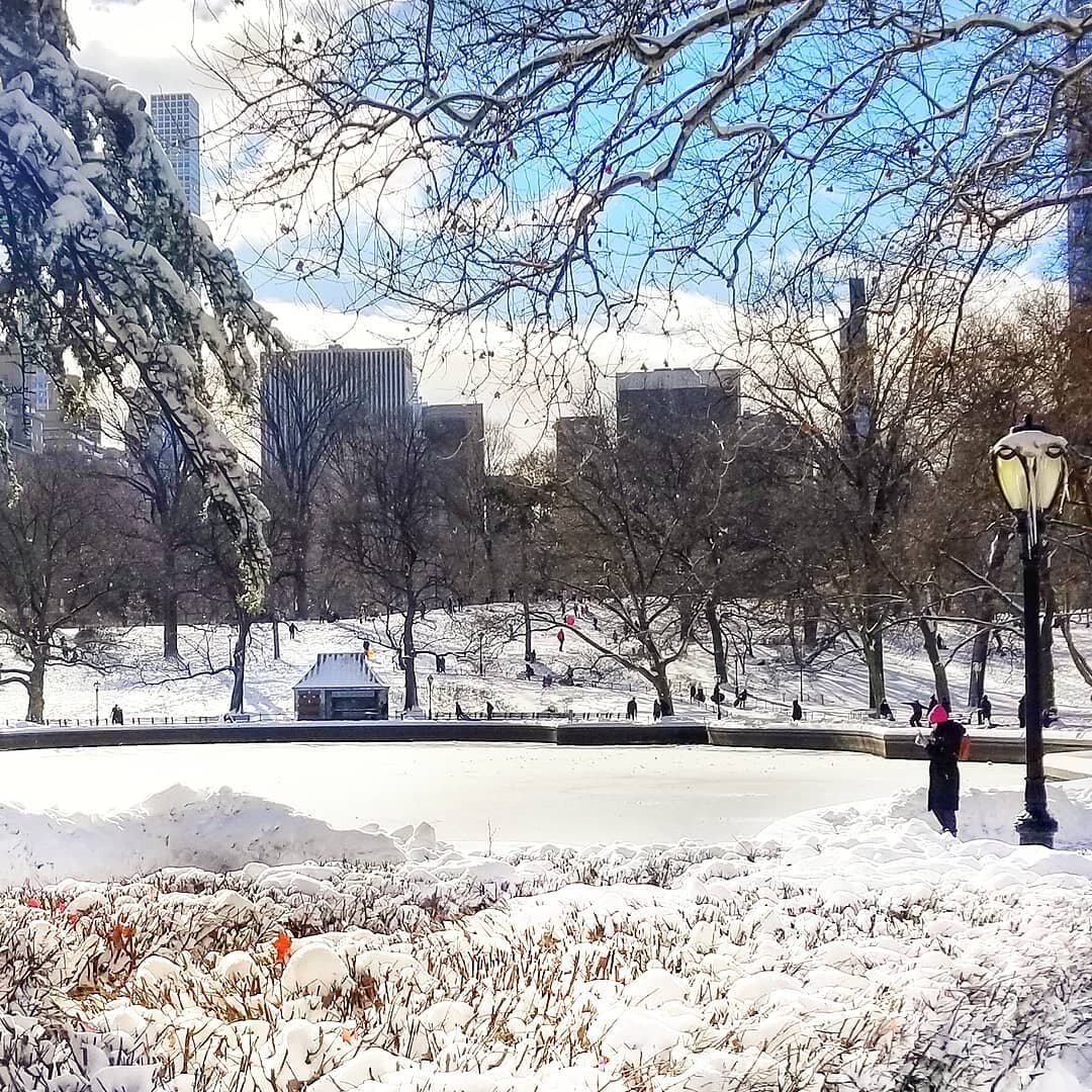 Happy Winter Solstice!
.
.
.
#winter #wintersolstice #slowliving #slowfood #newyork #centralpark #ues