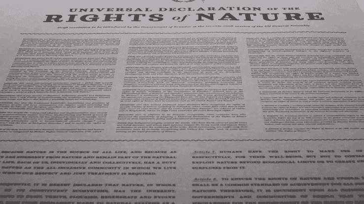 THE RIGHTS OF NATURE
