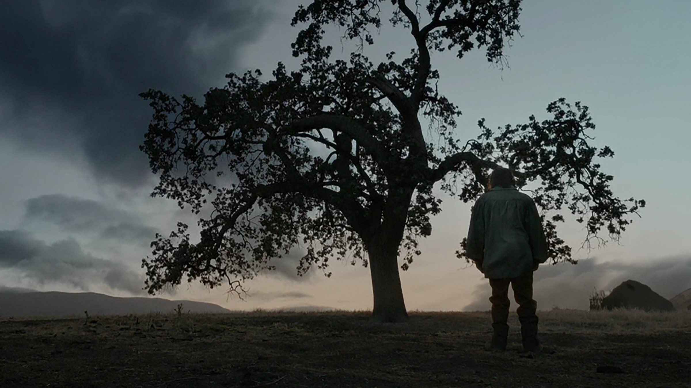 Still taken from The Revenant. Directed by Alejandro González Iñárritu. Cinematography by Emmanuel Lubezki.