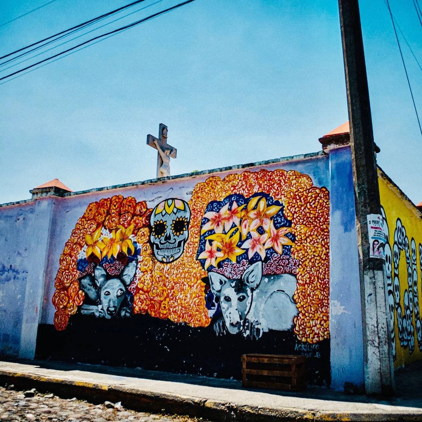 website header sample.jpeg