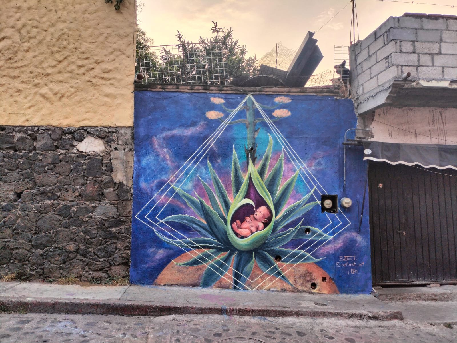 mama luchona.jpeg