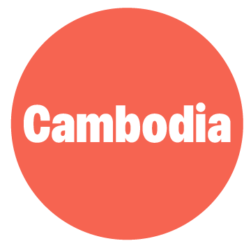 https://piccolo-ellipse-kbjn.squarespace.com/internationalprograms#cambodia