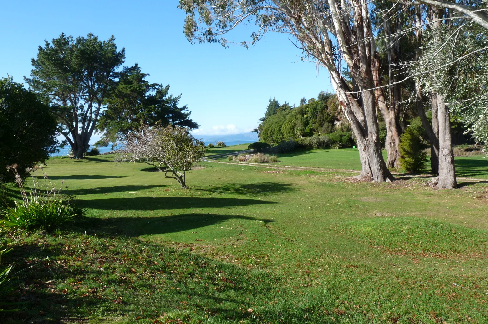 Tee view