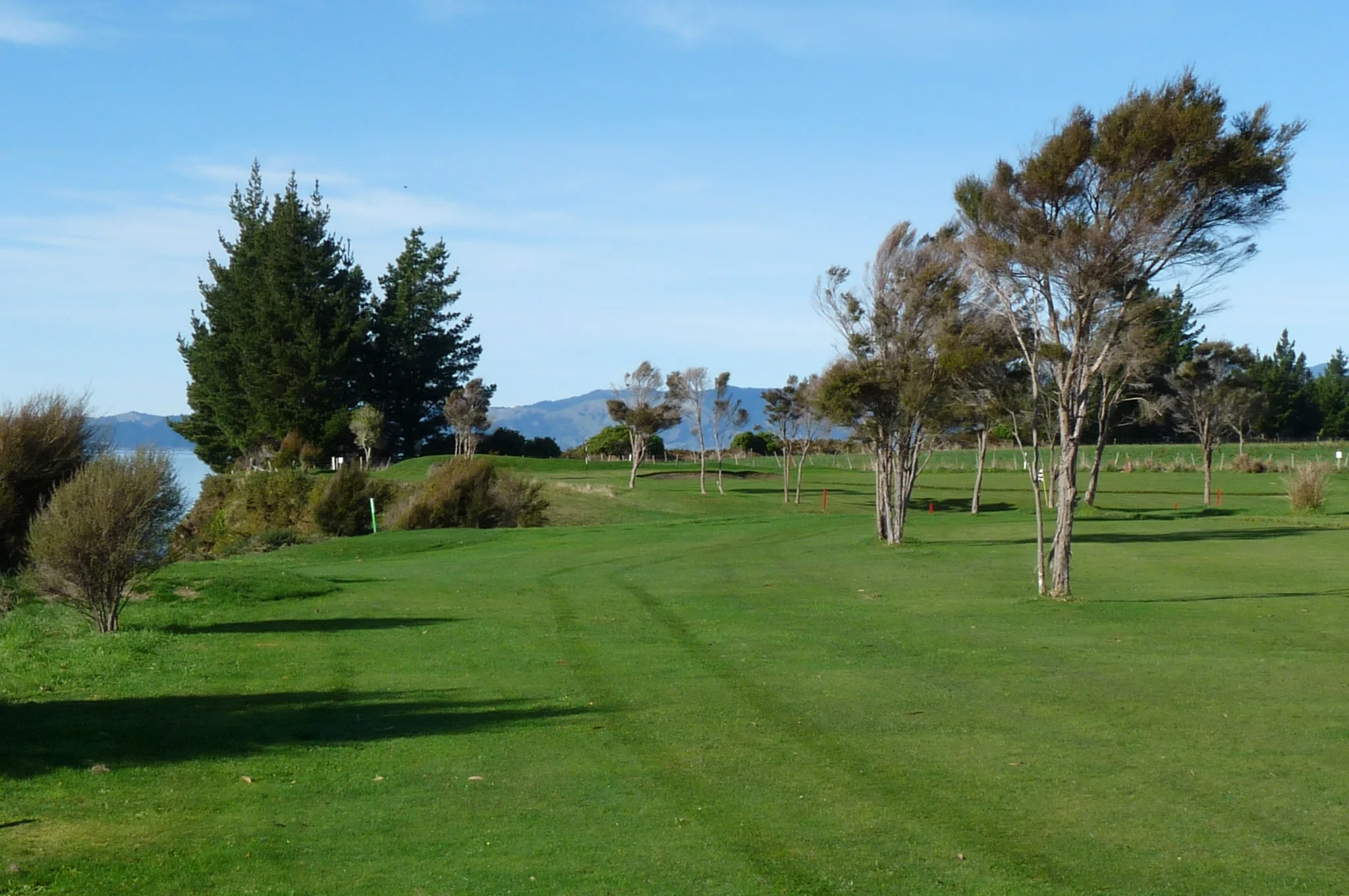 View from the tee