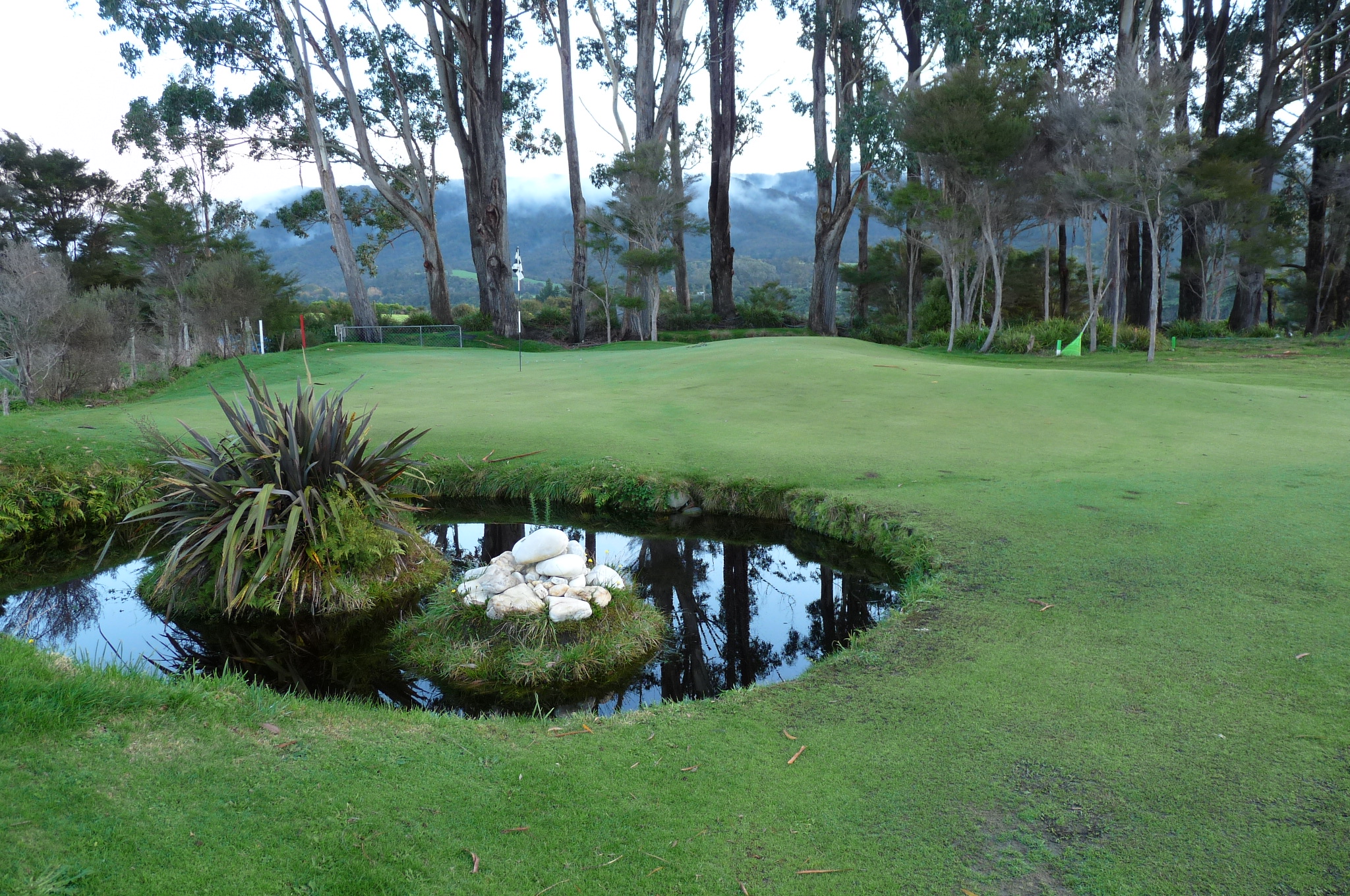 Pond fronts left of green