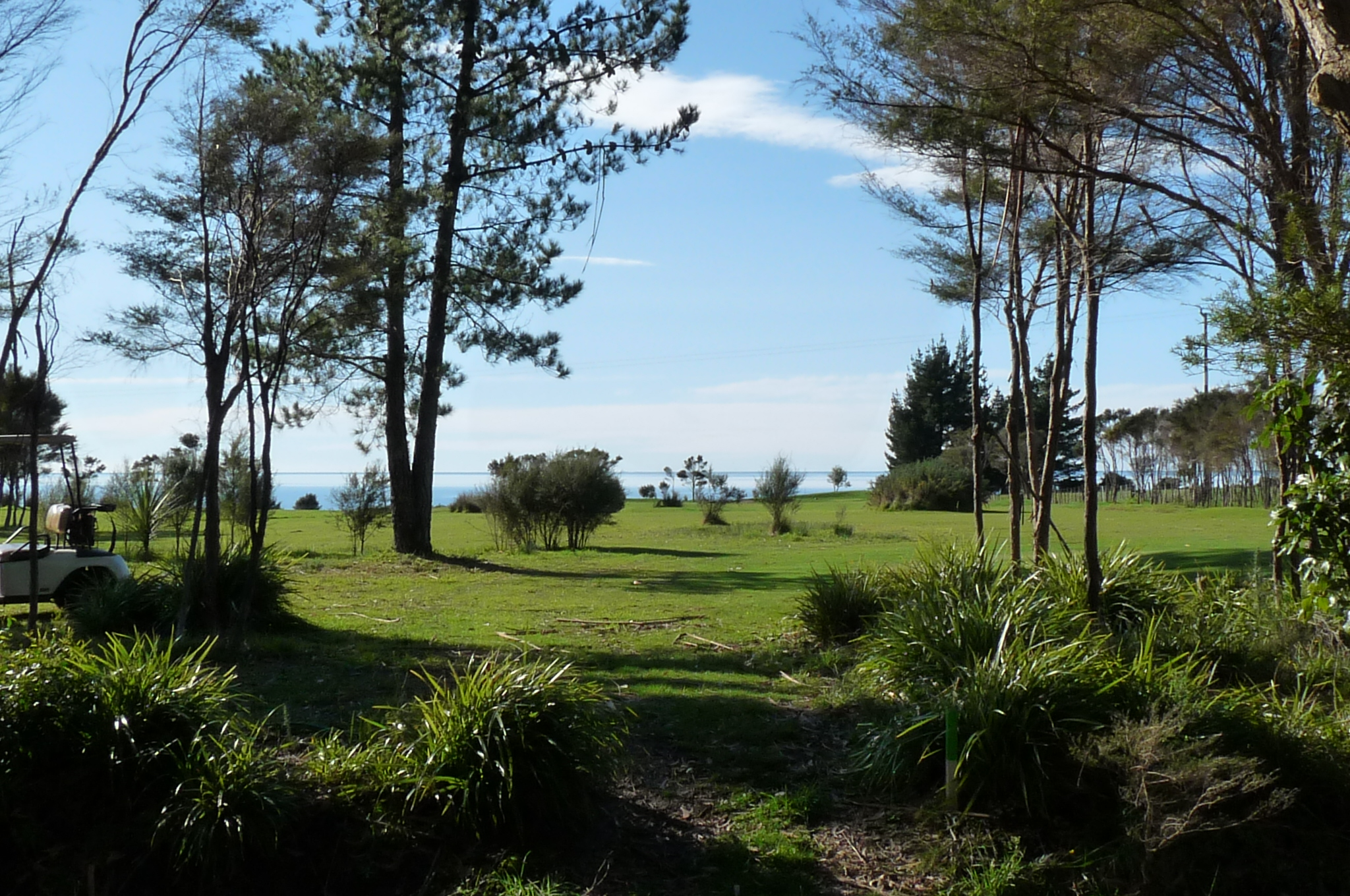 View from the Tee