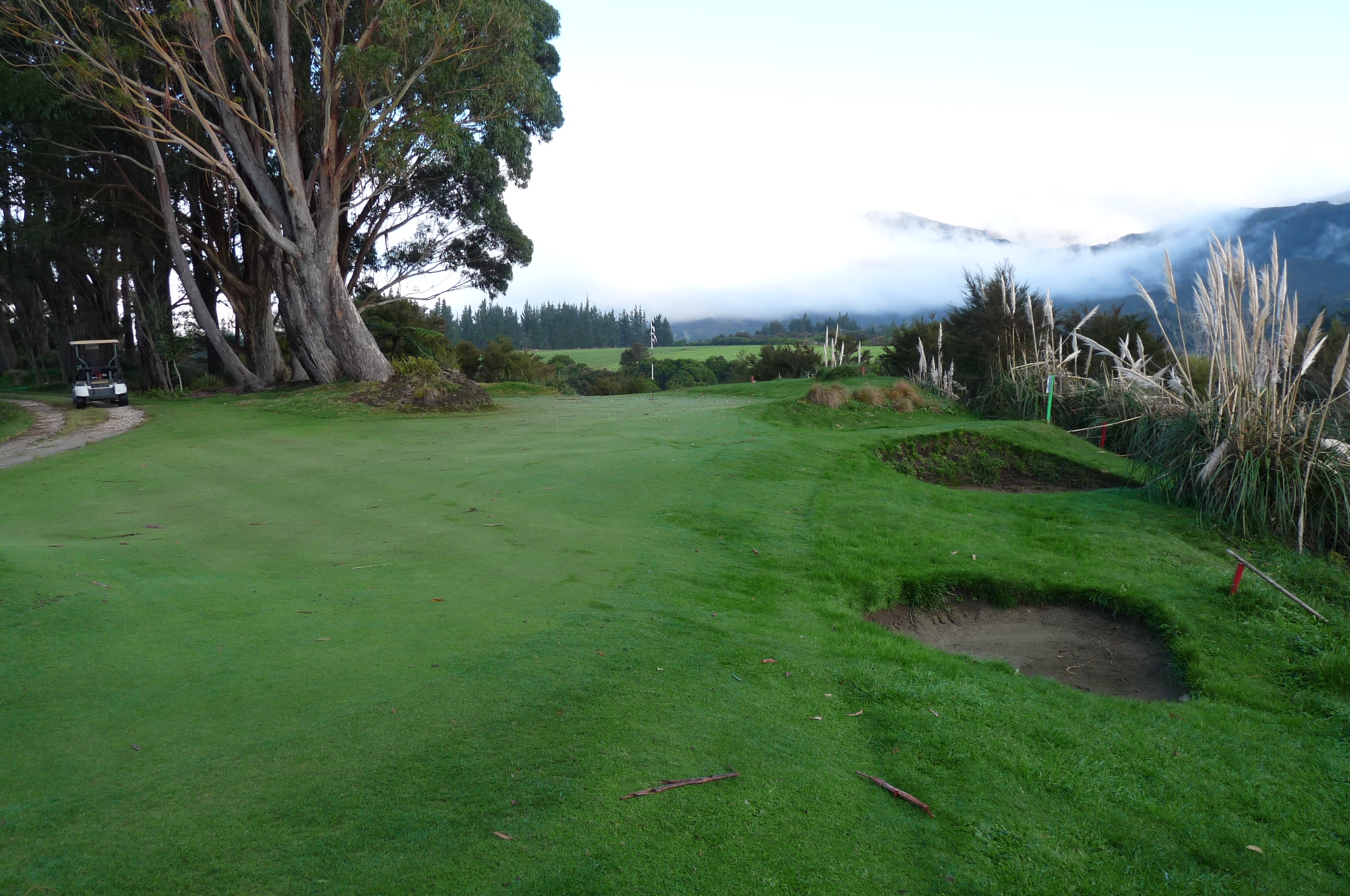 View from front of green
