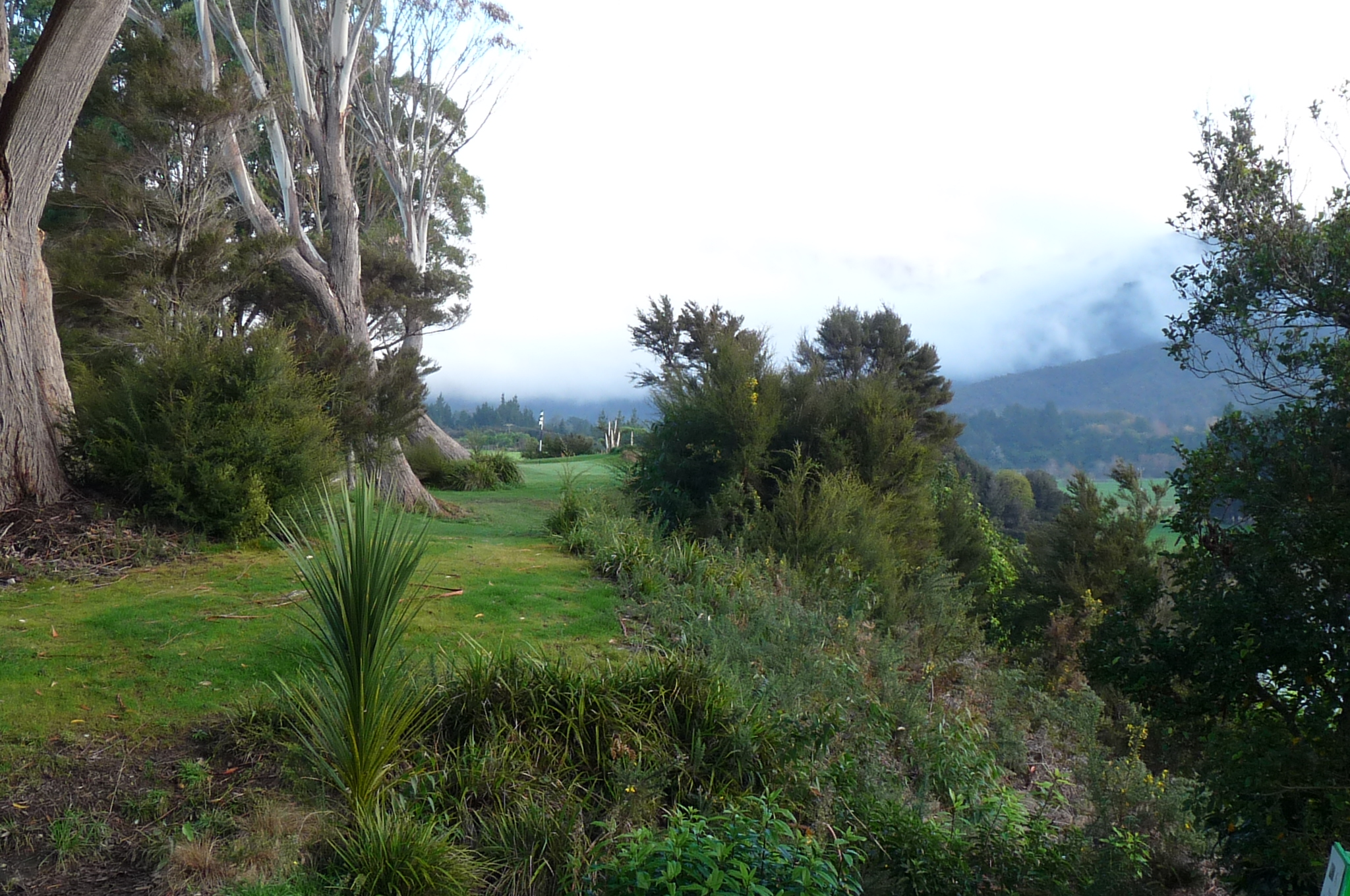 View from the tee